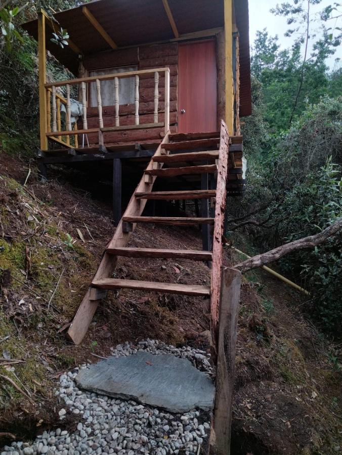 Glamping Entre Bosques *